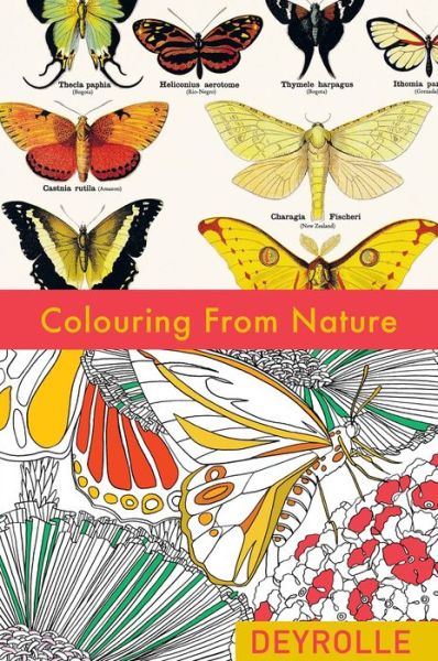 Cover for Deyrolle · Colouring from Nature (Paperback Book) (2016)