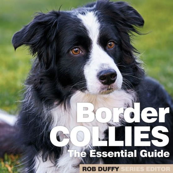 Border Collies: The Essential Guide - Robert Duffy - Books - Bxplans.Ltd - 9781913296483 - November 26, 2021