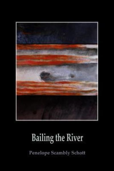 Cover for Penelope Scambly Schott · Bailing the River (Paperback Book) (2017)