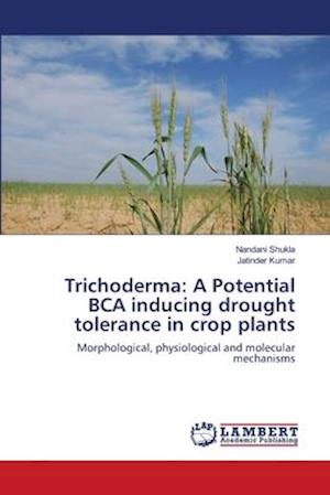 Cover for Shukla · Trichoderma: A Potential BCA ind (Book) (2018)