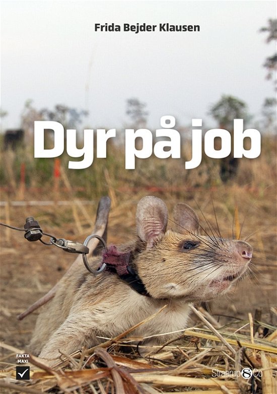 Cover for Frida Bejder Klausen · Maxi: Dyr på job (Hardcover bog) [1. udgave] (2023)
