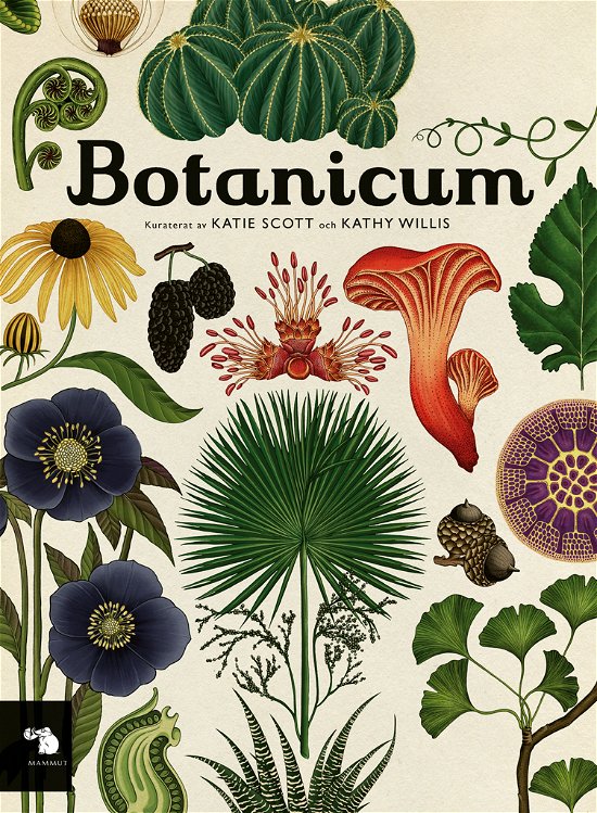 Botanicum - Kathy Willis - Bücher - Förlaget Mammut - 9788794214483 - 1. April 2024
