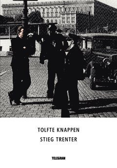 Cover for Stieg Trenter · Harry Friberg: Tolfte knappen (Buch) (2014)