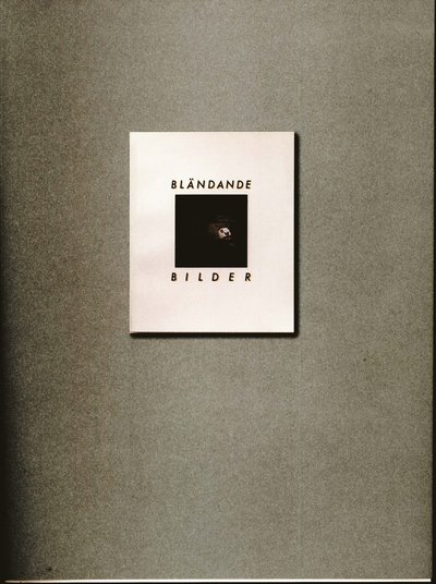 Cover for Niclas Östlind · Bländande bilder (Book) (2011)