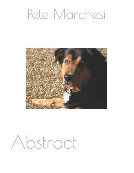 Cover for Pete Marchesi · Abstract (Paperback Book) (2020)