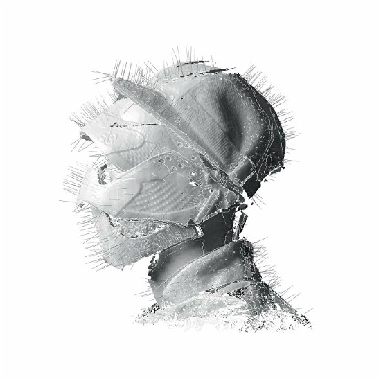Cover for Woodkid · The Golden Age (LP) (2022)