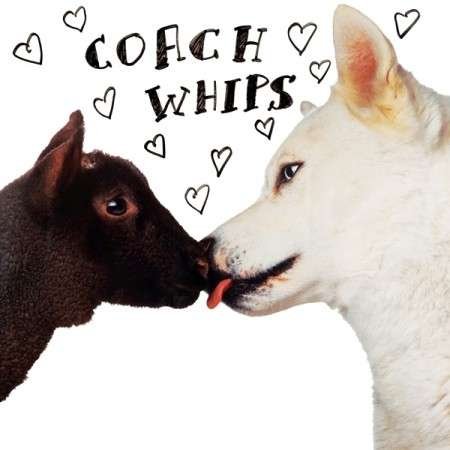 Cover for Coachwhips · Bangers Vs Fuckers (CD) (2015)