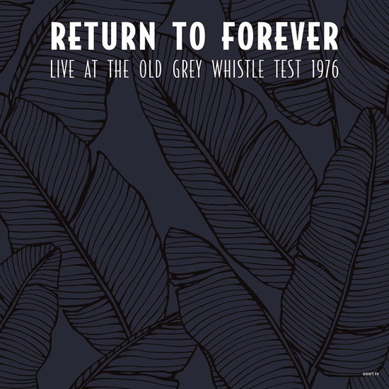 Cover for Return To Forever · Live At The (LP) (2021)