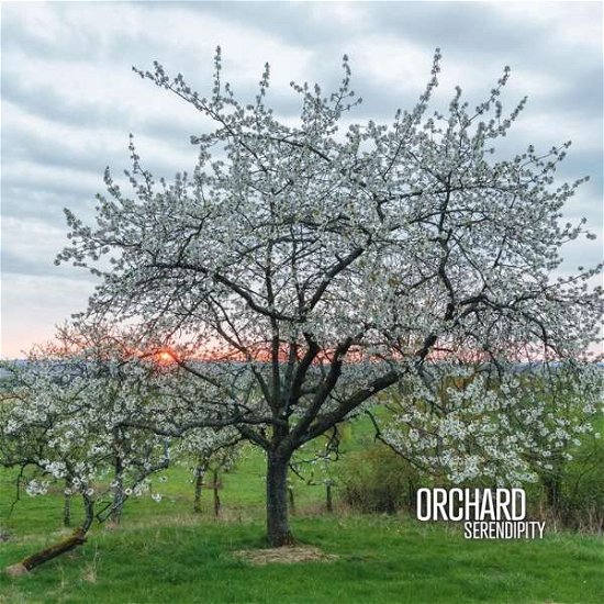 Cover for Orchard (aidan Baker, Gaspar Claus, Franck Laurino · Serendipity (CD) (2017)