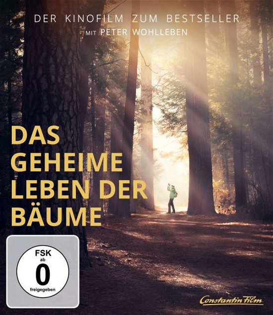 Cover for Peter Wohlleben · Das Geheime Leben Der Bäume (Blu-ray) (2020)