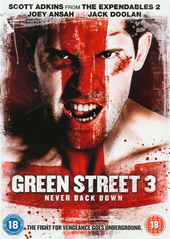 Cover for Green Street 3 · Green Street 3 - Never Back Down (DVD) (2013)