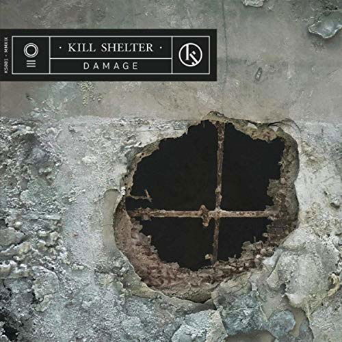 Cover for Kill Shelter  · Damage (LP) (2019)