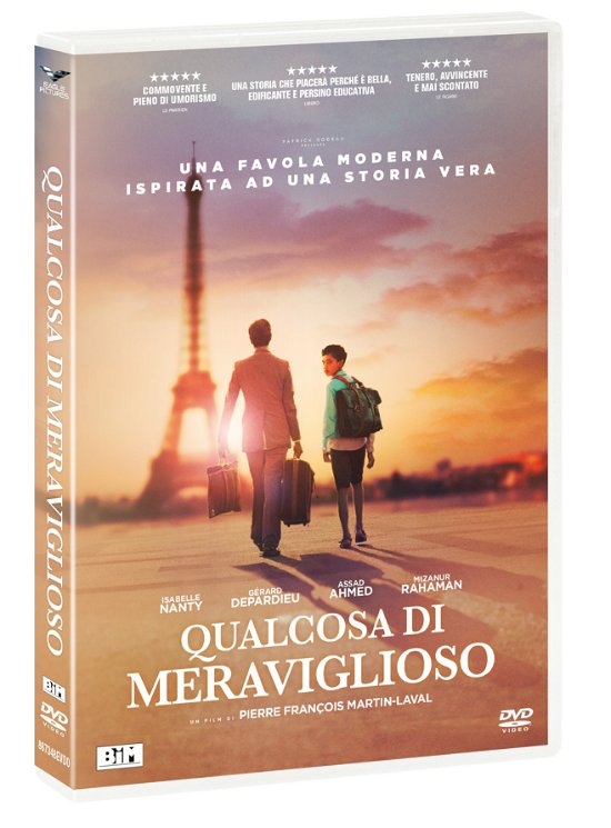 Cover for Nanty,Depardieu,Ahmed · Qualcosa Di Meraviglioso (DVD) (2020)