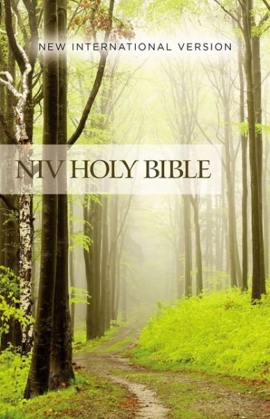 NIV, Value Outreach Bible, Paperback - Zondervan - Bøger - Zondervan - 9780310446484 - 18. januar 2017