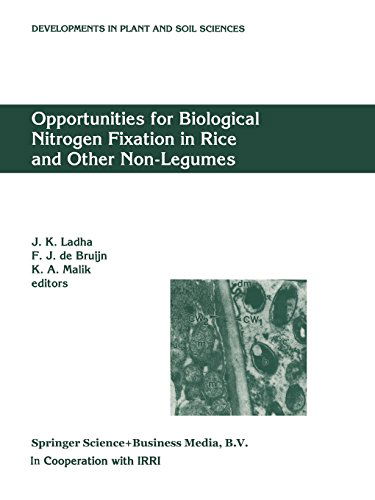 Opportunities for Biological Nitrogen Fixation in Rice and Other Non-Legumes: Papers presented at the Second Working Group Meeting of the Frontier Project on Nitrogen Fixation in Rice held at the National Institute for Biotechnology and Genetic Engineerin - J. K. Ladha - Books - Springer - 9780792347484 - October 27, 1997