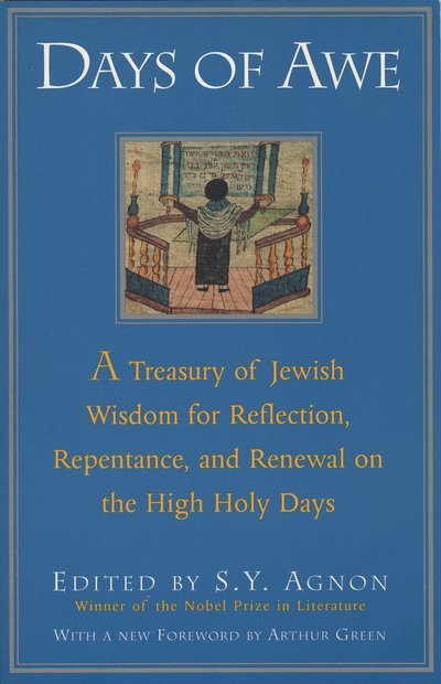 Days of Awe: A Treasury of Jewish Wisdom for Reflection, Repentance, and Renewal  on the High  Holy Days - Shmuel Yosef Agnon - Kirjat - Schocken Books - 9780805210484 - tiistai 22. elokuuta 1995