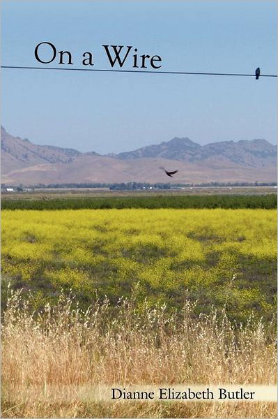 Cover for Dianne Elizabeth Butler · On a Wire (Paperback Book) (2012)