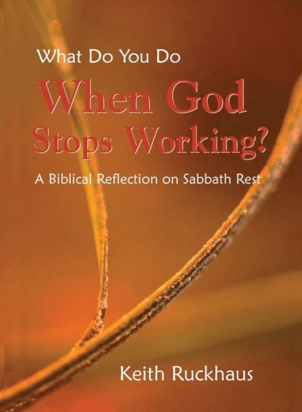 Cover for Keith Ruckhaus · When God Stops Working: A Biblical Reflection on Sabbath Rest (Hardcover Book) (2002)