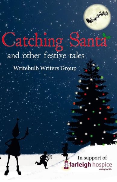 Cover for Carlie M a Cullen · Catching Santa: and Other Festive Tales (Paperback Book) (2014)