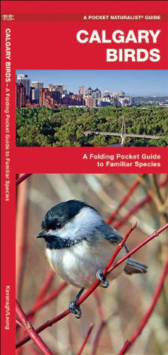 Cover for James Kavanagh · Calgary Birds: a Folding Pocket Guide to Familiar Species (Pocket Naturalist Guide Series) (Pamphlet) [Lam Chrt edition] (2016)