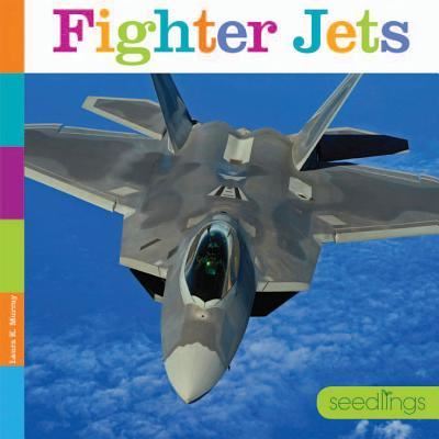 Cover for Laura K. Murray · Fighter Jets (Book) (2016)