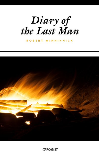 Cover for Robert Minhinnick · Diary of the Last Man (Paperback Book) (2017)