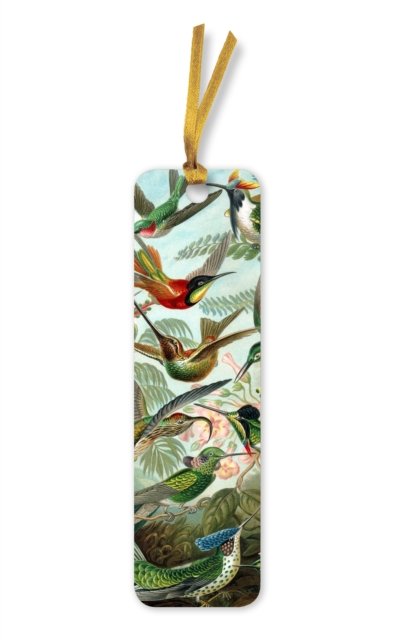 Ernst Haeckel: Hummingbirds Bookmarks (pack of 10) - Flame Tree Bookmarks - Flame Tree Studio - Bøger - Flame Tree Publishing - 9781804175484 - 23. maj 2023