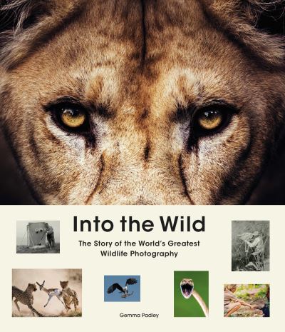 Cover for Gemma Padley · Into the Wild: The Story of the World's Greatest Wildlife Photography (Hardcover Book) (2021)