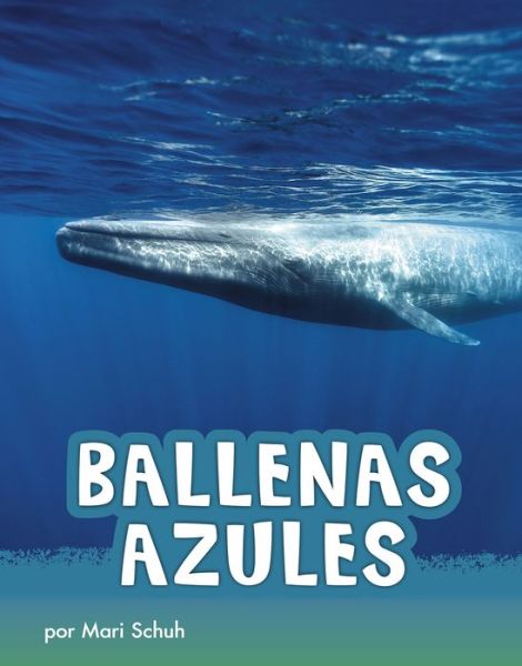 Ballenas Azules - Mari Schuh - Książki - PEBBLE BOOKS - 9781977125484 - 1 sierpnia 2020