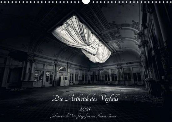 Cover for Junior · Lost in Decay 2021 - Die Ästheti (Bok)