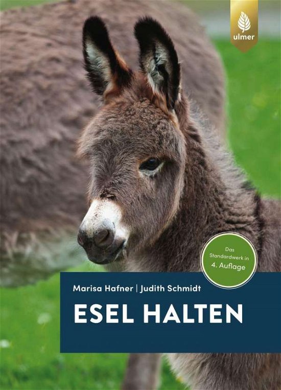 Cover for Hafner · Esel halten (Book)