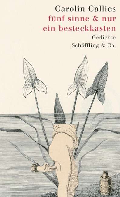 Cover for Carolin Callies · Fünf Sinne &amp; Nur Ein Besteckkasten (Book)