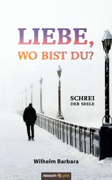 Cover for Barbara · Liebe, wo bist du? (Bog) (2020)