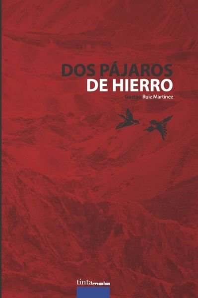 Cover for Gaztea Ruiz Martinez · Dos pajaros de hierro (Paperback Book) (2019)