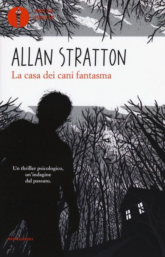 Cover for Allan Stratton · La Casa Dei Cani Fantasma (Book)