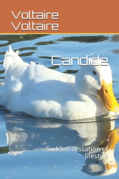Candide - Voltaire - Kirjat - Independently Published - 9798676963484 - keskiviikko 19. elokuuta 2020