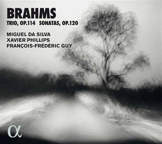 Cover for Miguel Da Silva / Xavier Phillips / Francois-frederic Guy · Brahms: Trio. Op. 114 &amp; Sonatas. Op. 120 (CD) (2021)