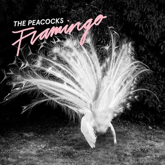 Cover for Peacocks · Flamingo (CD) (2017)