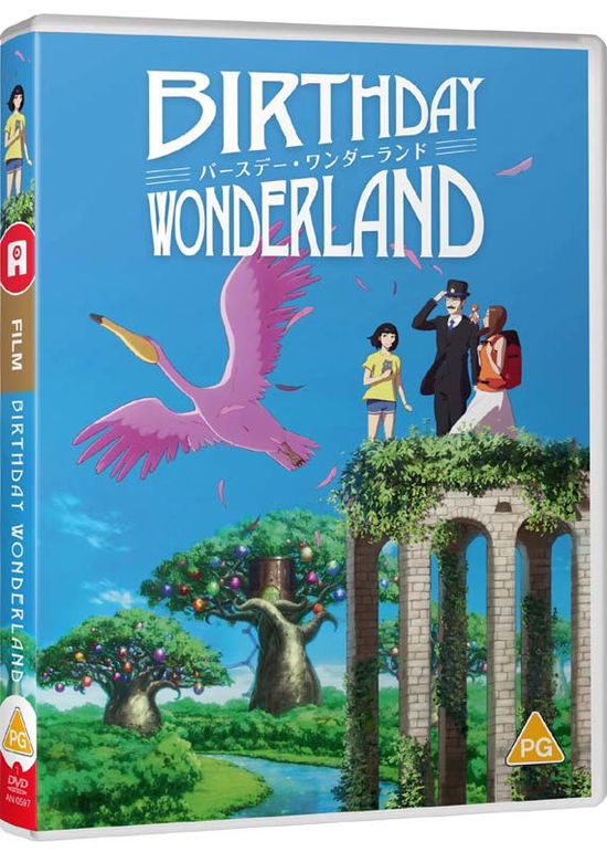 Cover for Birthday Wonderland  Standard Edition · Birthday Wonderland (DVD) (2020)