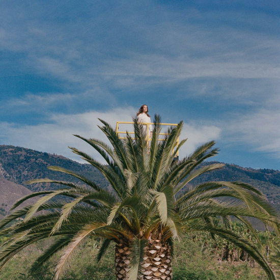 Cover for Jessy Lanza · Love Hallucination (LP)