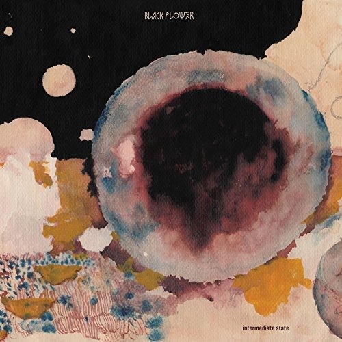 Cover for Black Flower · Intermediate State (LP) (2018)