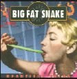 Cover for Big Fat Snake · Beautiful Thing (CD) (2005)