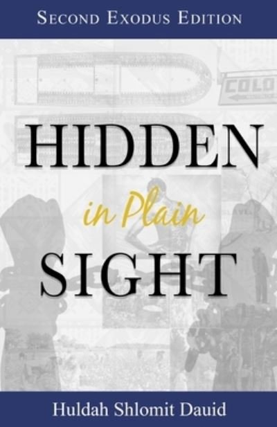 Cover for Huldah Dauid · Hidden in Plain Sight (Pocketbok) (2016)