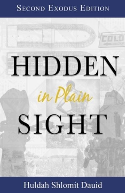 Cover for Huldah Dauid · Hidden in Plain Sight (Paperback Book) (2016)