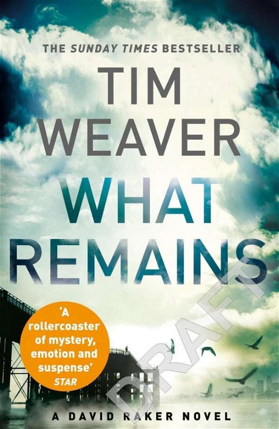 Cover for Tim Weaver · What Remains: The unputdownable thriller from author of Richard &amp; Judy thriller No One Home - David Raker Missing Persons (Paperback Bog) (2015)