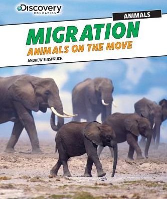 Cover for Andrew Einspruch · Migration: Animals on the Move (Hardcover bog) (2015)