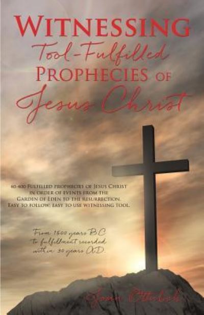 Cover for Joan Ottulich · Witnessing Tool-Fulfilled Prophecies of Jesus Christ (Paperback Book) (2016)