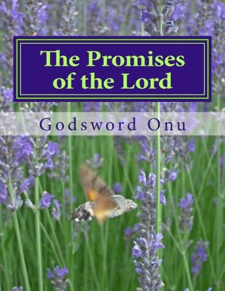 Cover for Apst Godsword Godswill Onu · The Promises of the Lord: God Can Never Fail nor Disappoint Anybody (Paperback Book) (2015)