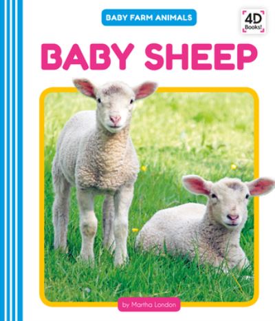 Cover for Martha London · Baby Sheep (Hardcover Book) (2020)