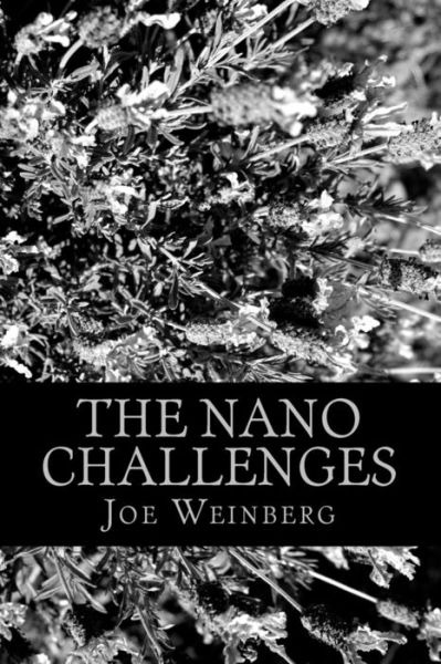 Cover for Joe Weinberg · The Nano Challenges (Pocketbok) (2016)